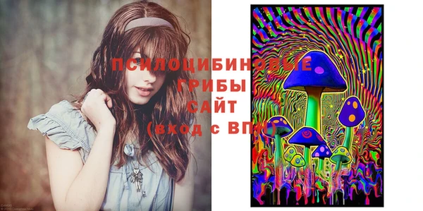 наркотики Богородицк