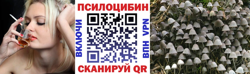 что такое   Няндома  нарко площадка клад  Псилоцибиновые грибы ЛСД 